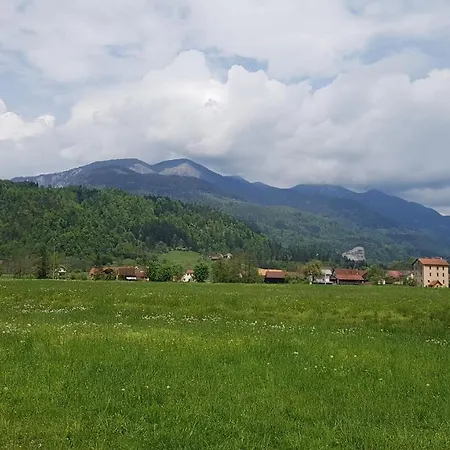 Neli Recica ob Savinji