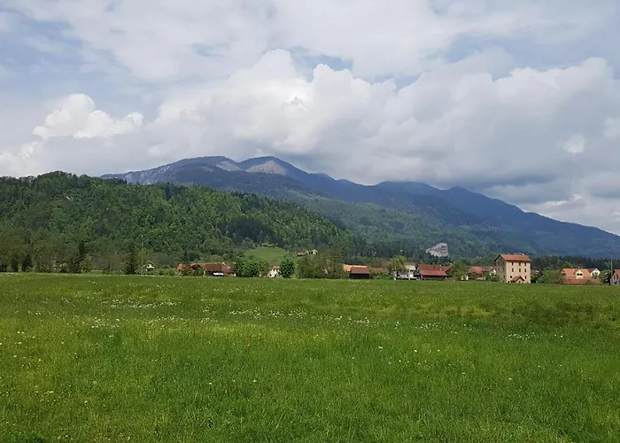 Neli Recica ob Savinji